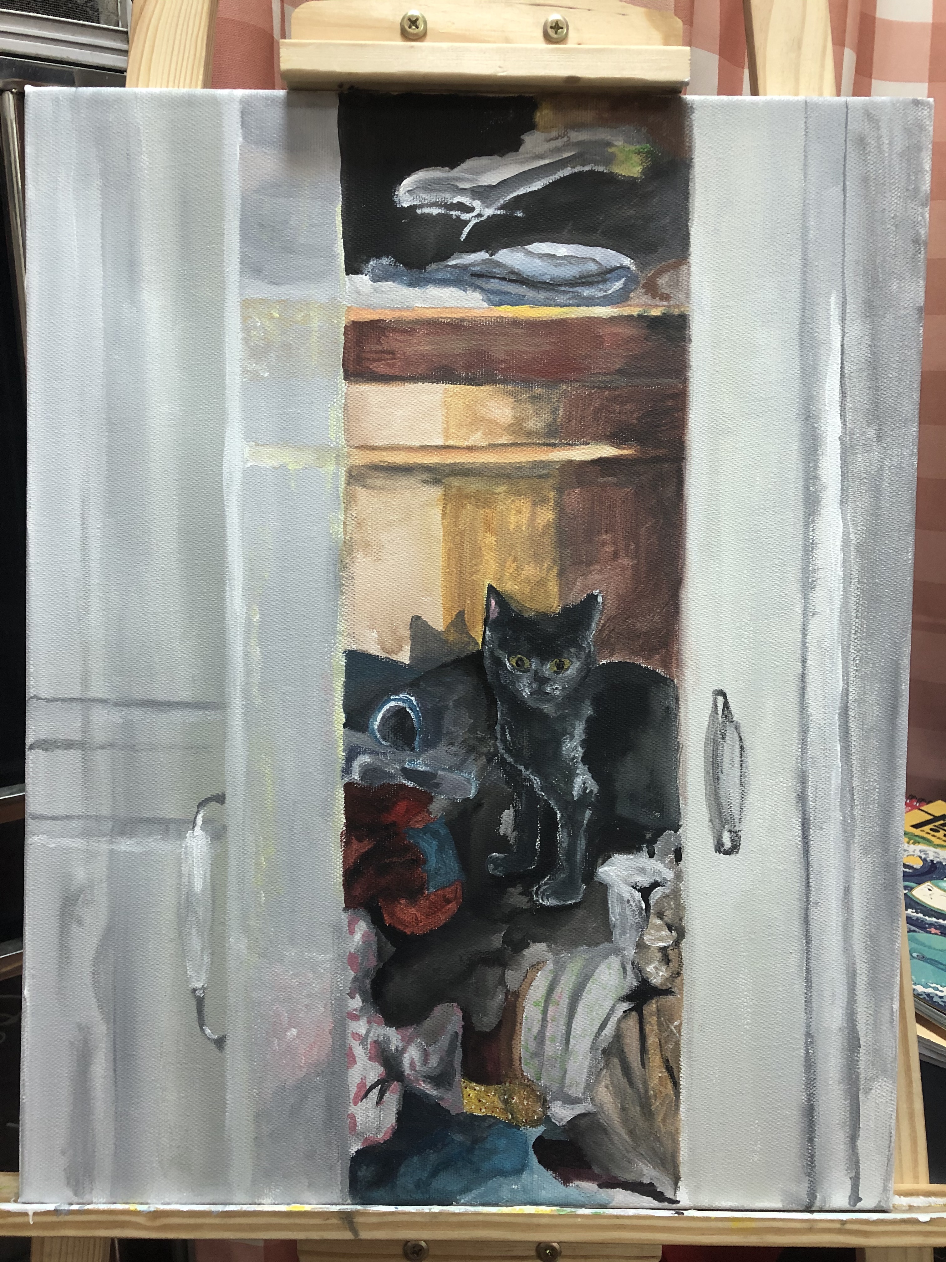 cat in wardrobe