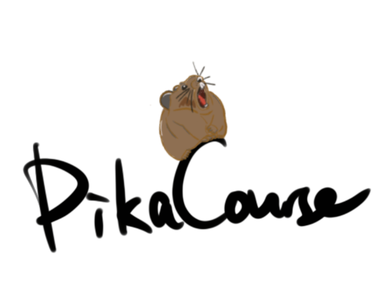 PikaCourse Icon